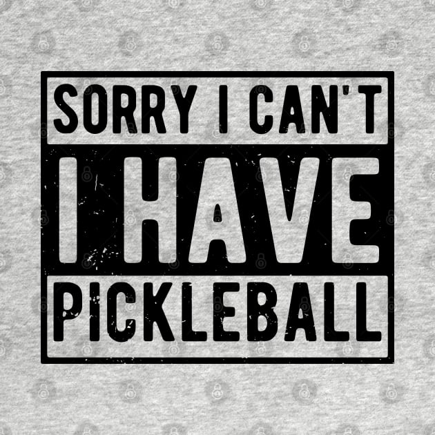 sorry i cant i have pickleball by Gaming champion